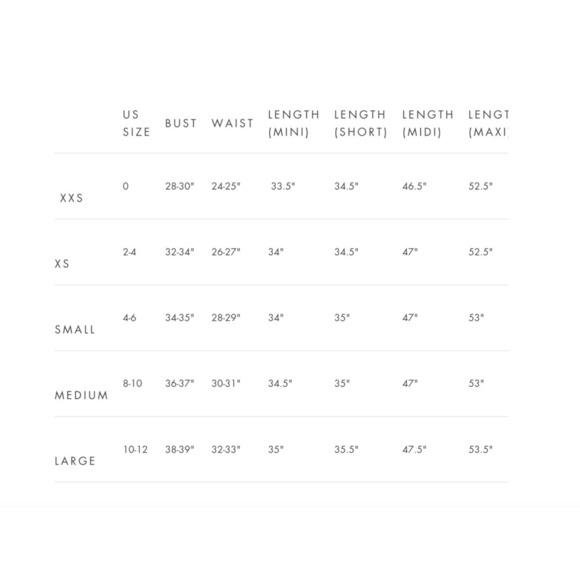 Oliphant Bubble Skirt  Vacation Tuckernuck Dress NWT - Picture 13 of 16